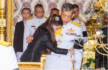 金牌护士护士端 